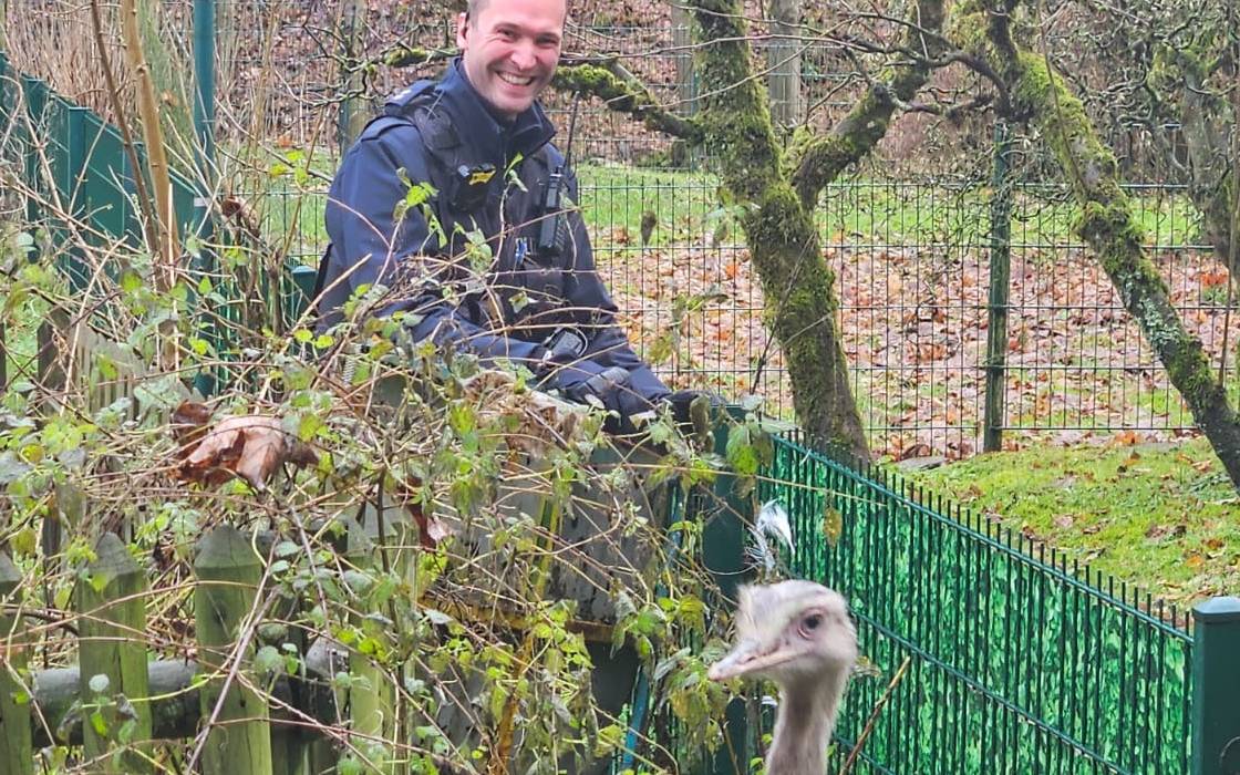 Ein Vogelstrauß im Gebüsch, ein Polizist steht hinter ihm und lächelt in die Kamera.