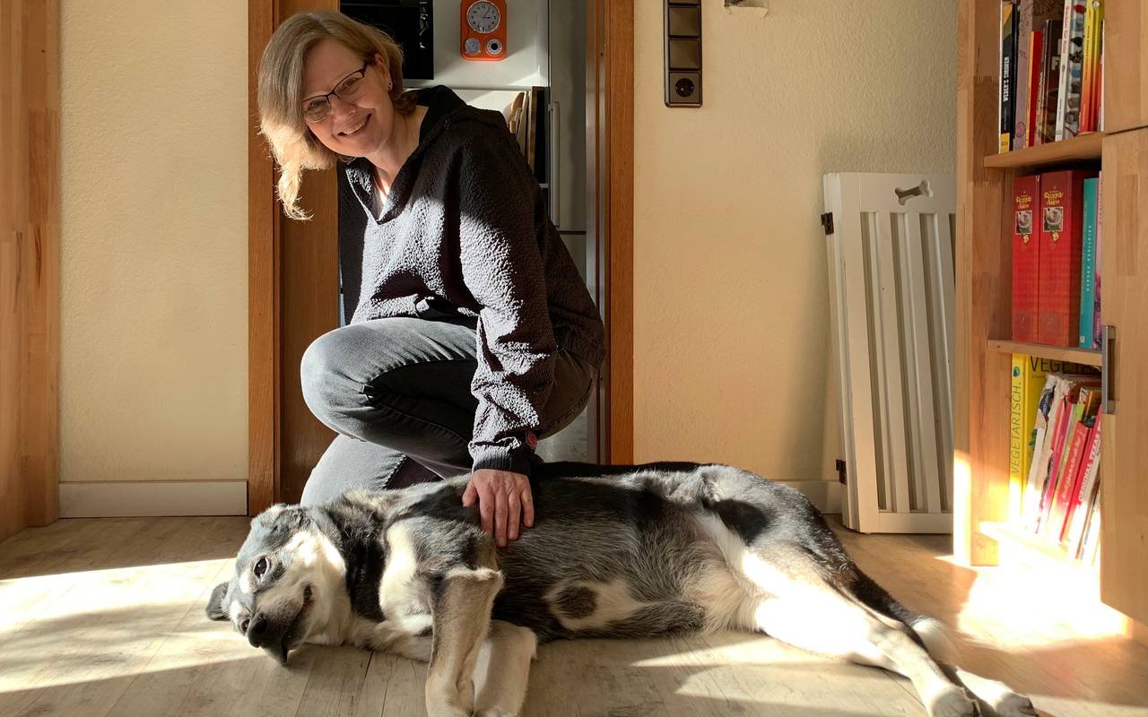 Schulhunde im Märkischen Kreis