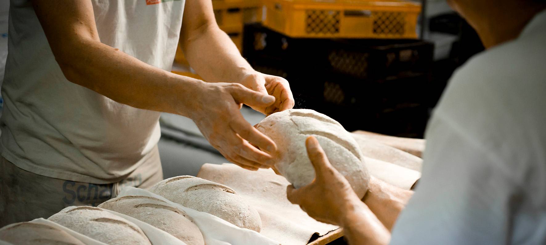 "Dr. Azubi" gibt Tipps für Berufsstarter