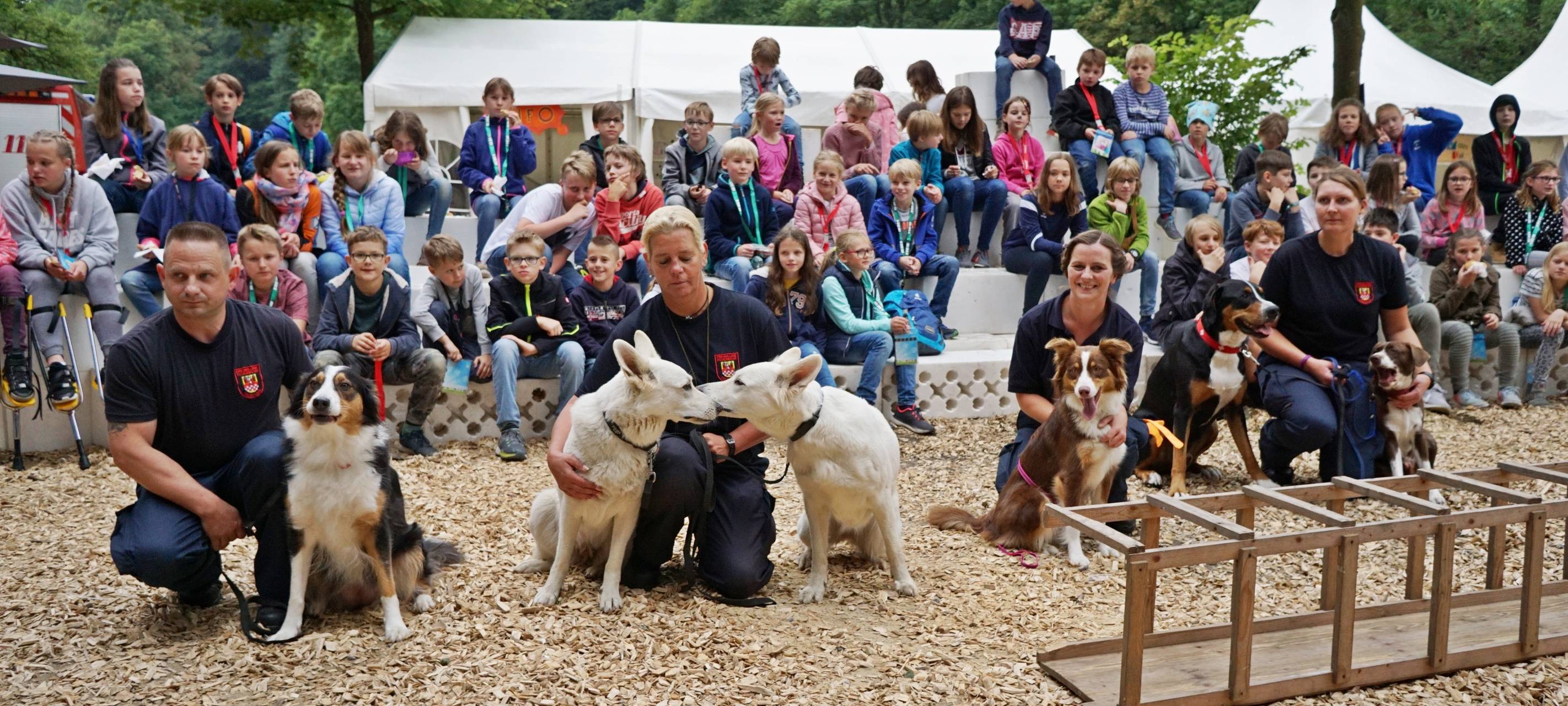 Retter auf vier Pfoten