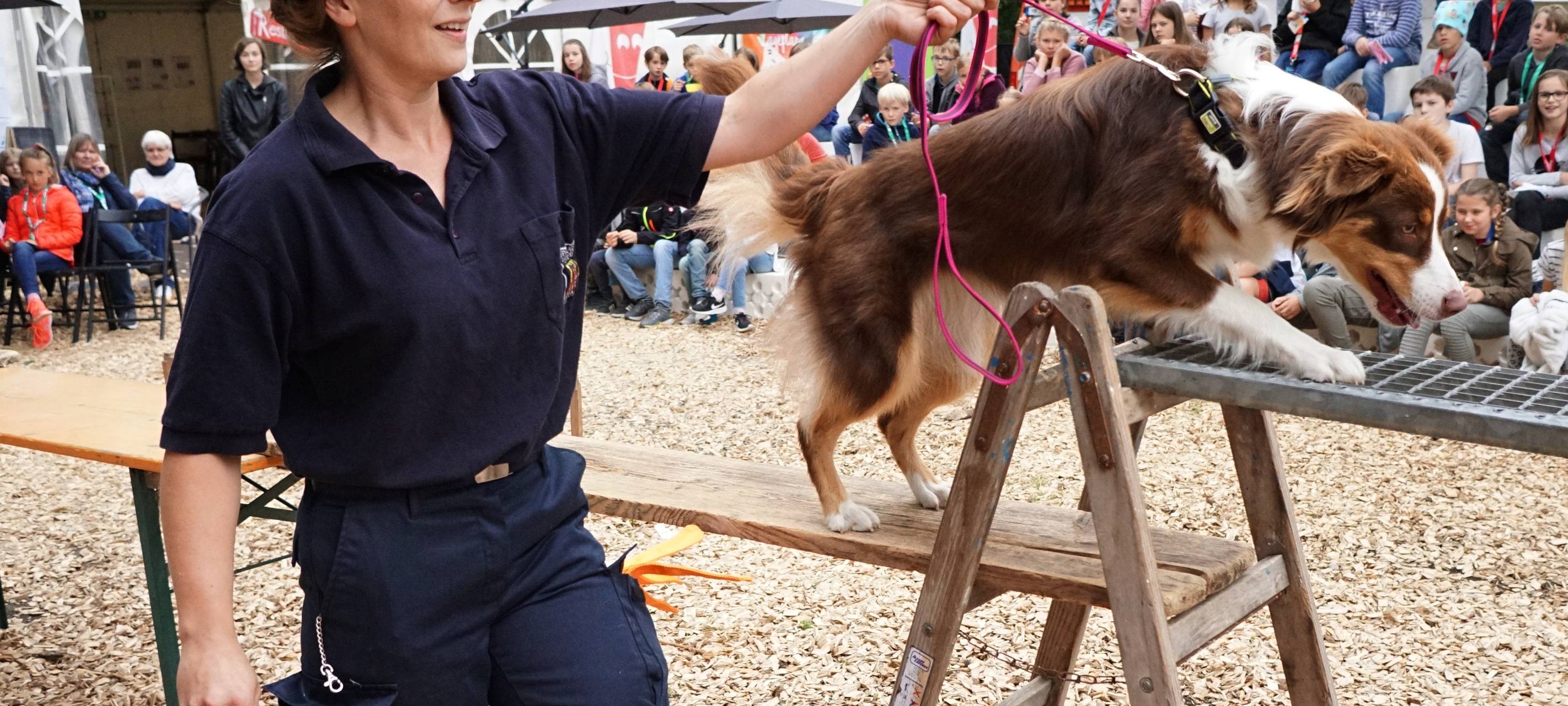 Rettungshunde in der Iserlohner Kinderstadt