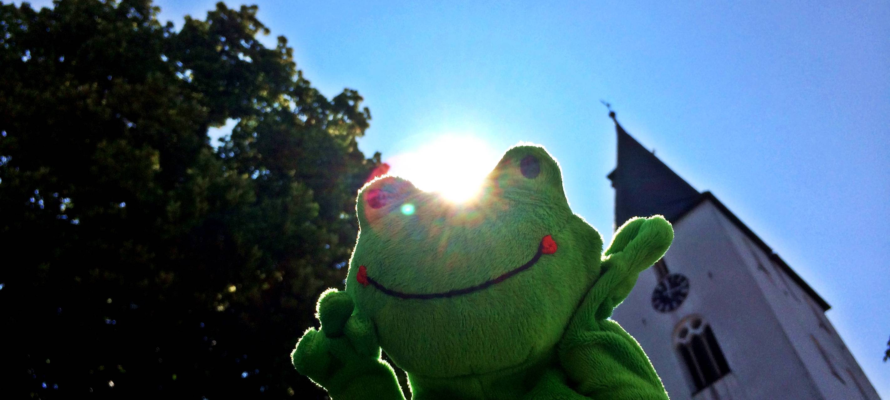 Froggy liebt die Sonne, zum Treppen raufklettern!