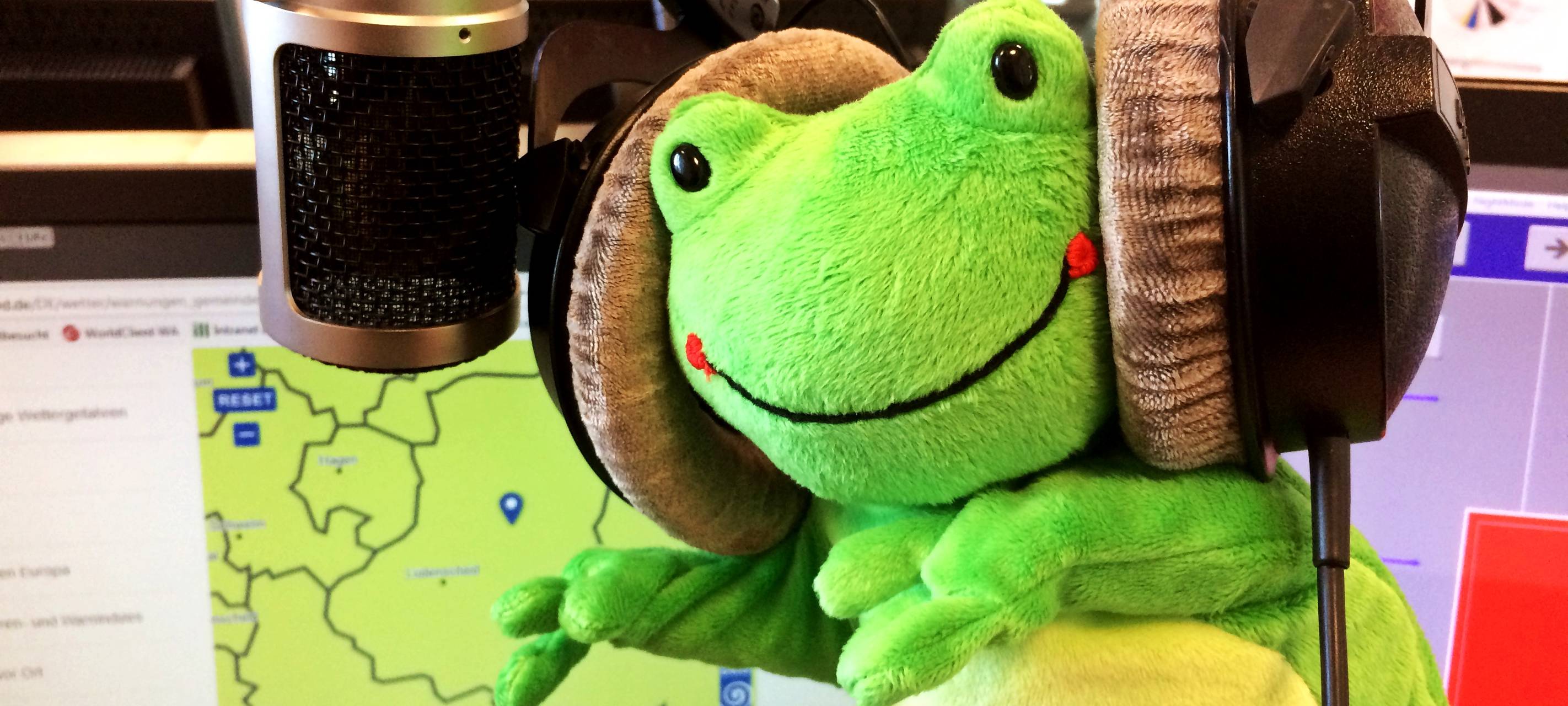 Radio MK Wetterfrosch Froggy McQuak