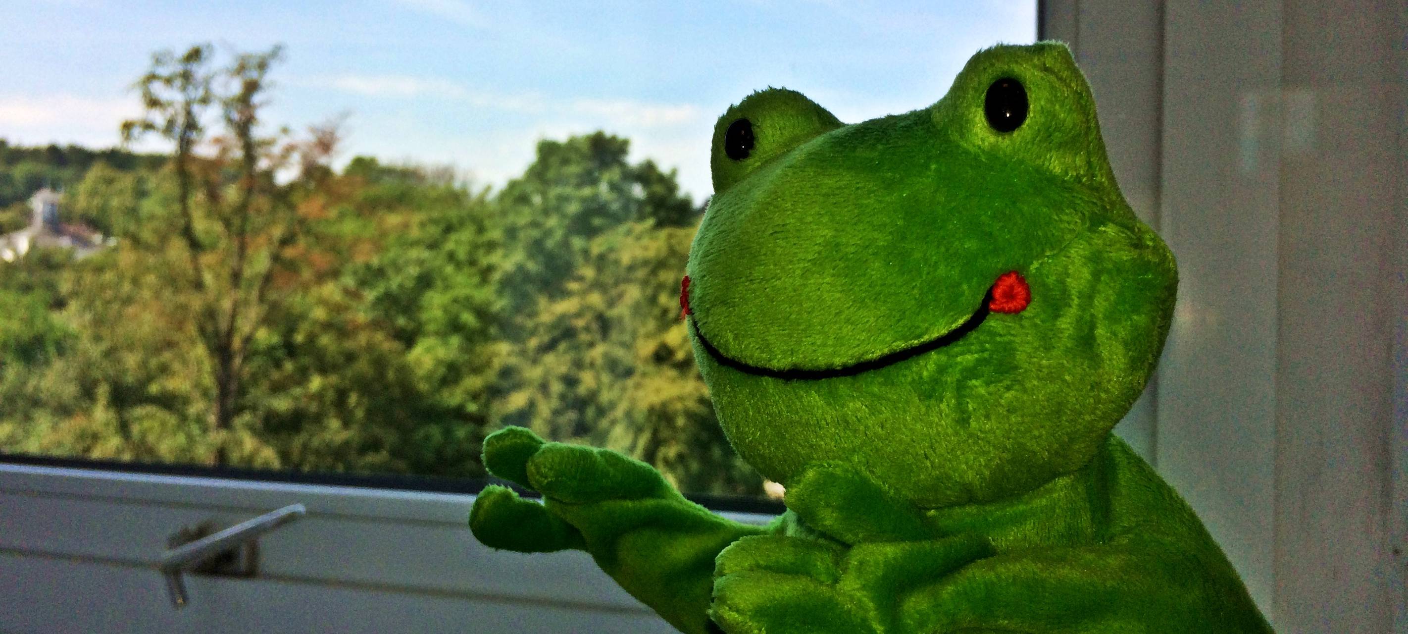 Froggy hat das Wetter immer im Blick für Euch!