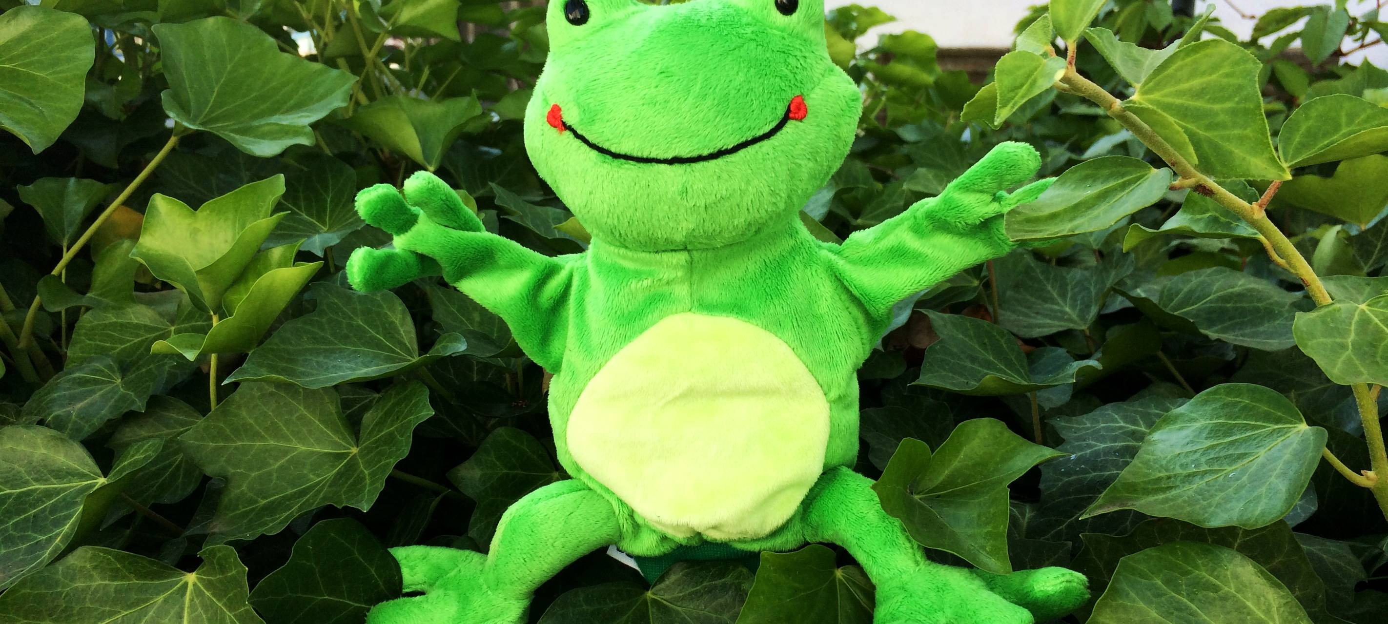 Froggy im Urlaub auf Kröta, seiner Heimat.