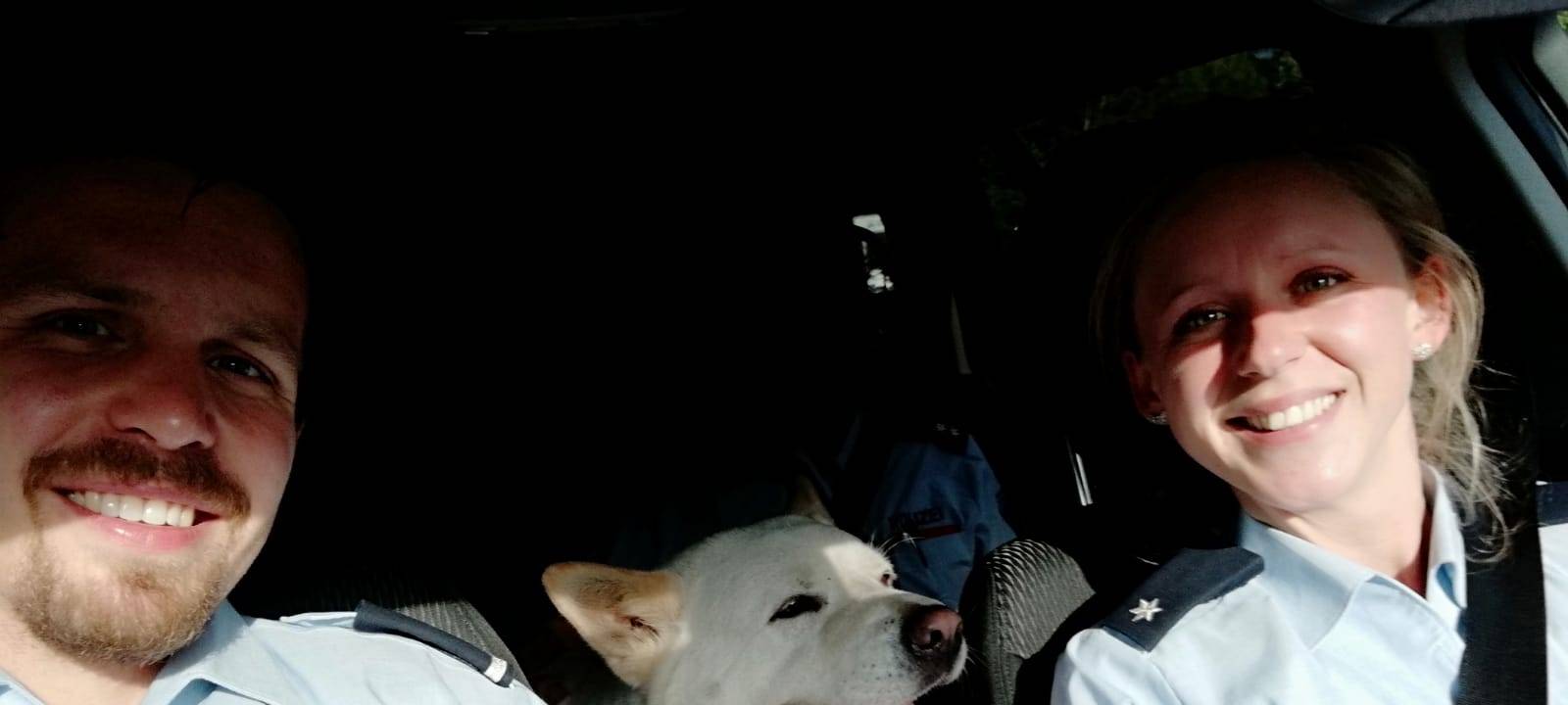 Hund aus verlassenem Wohnwagen gerettet