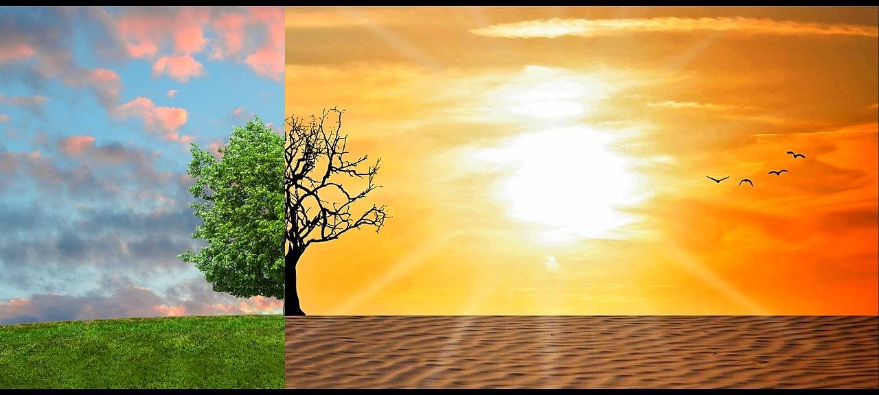 Klimabericht: Landwirtschaft im MK weist Vorwürfe zurück