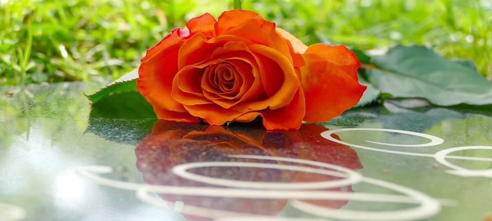 Traumberuf Bestatterin