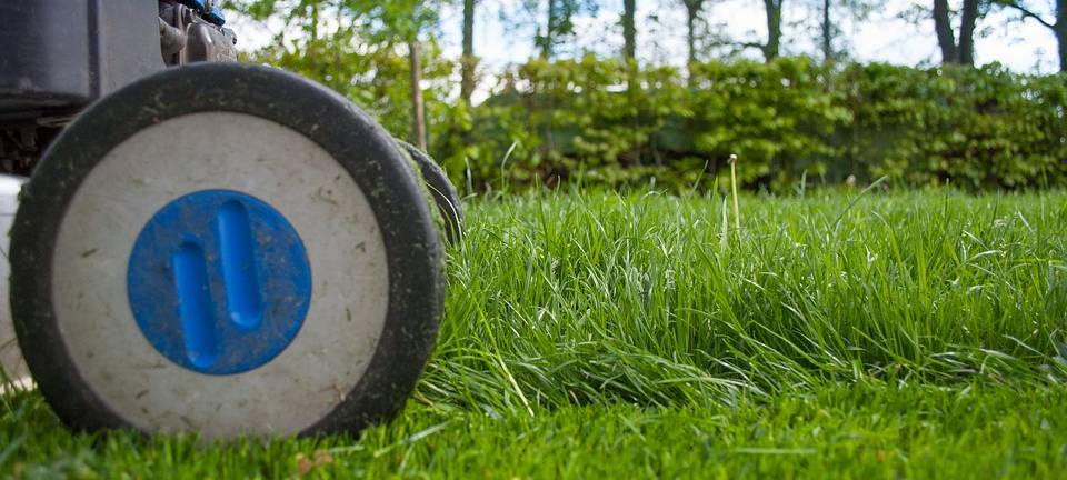 Lösung für Gartenabfälle in Lüdenscheid