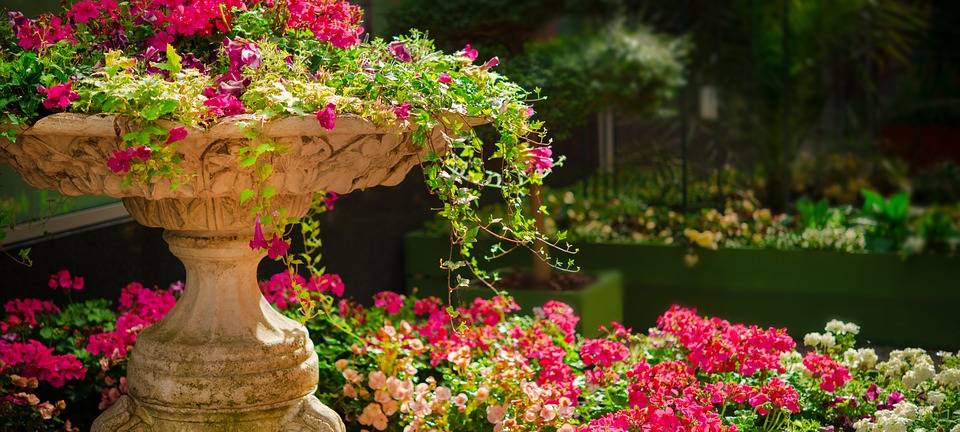 Pflanzentauschbörse in Iserlohn