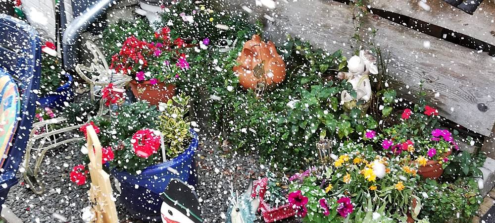 Weihnachtsmarkt im Sommer? Den gibts! In Rennerde!