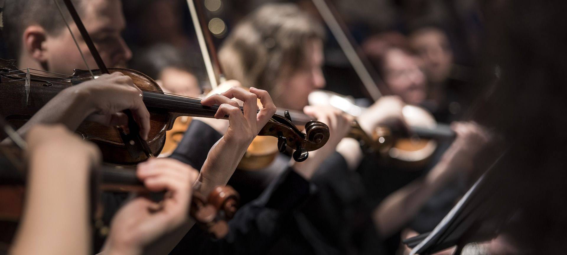 Erfolg für junge Musiker