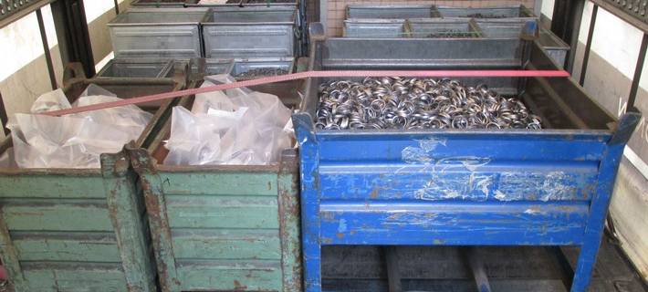 Ergebnisse der LKW-Kontrollen