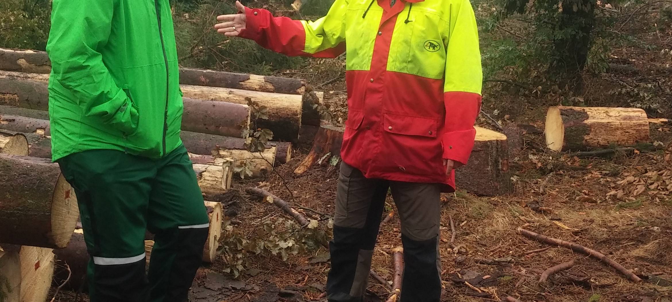 Landtagsabgeordneter Gordan Dudas im Krummenscheider Forst