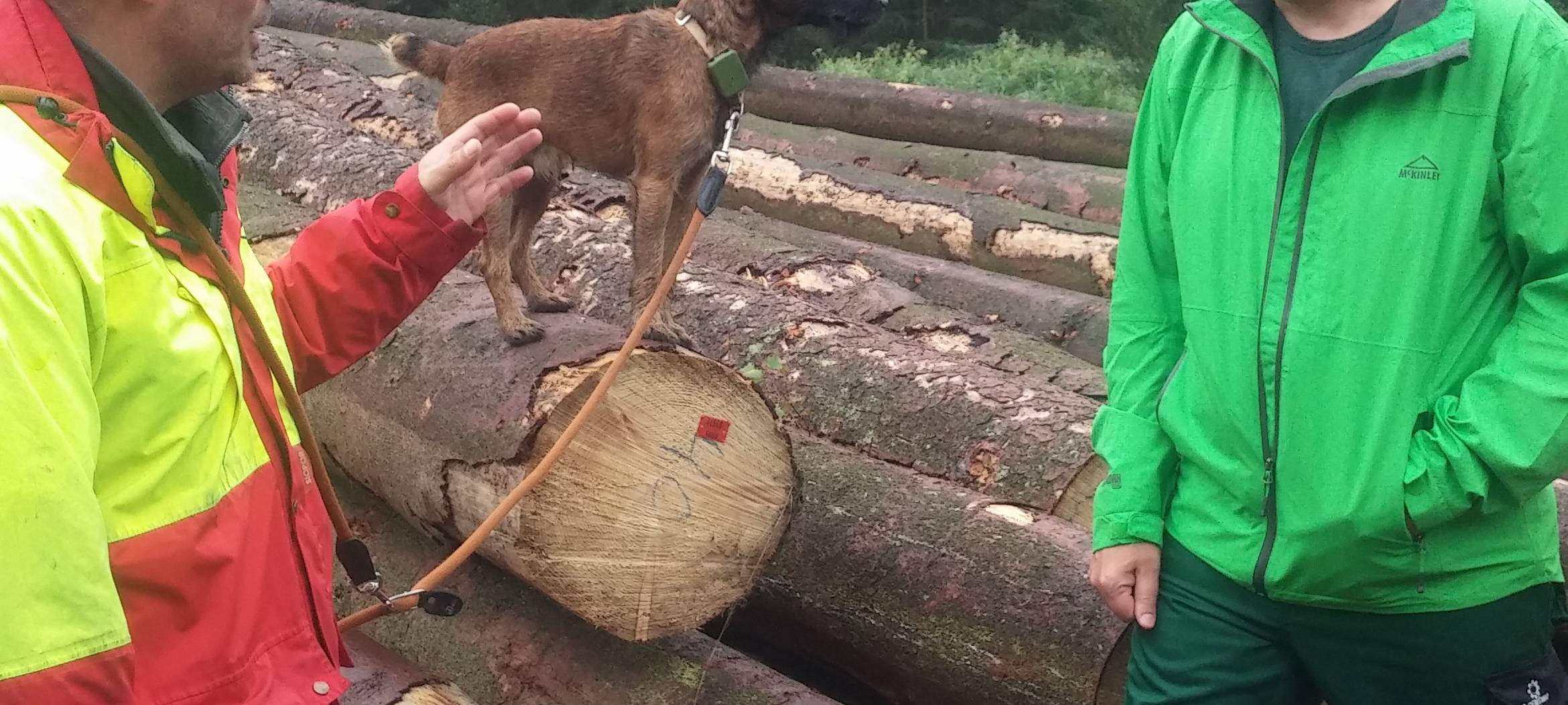 Landtagsabgeordneter Gordan Dudas im Krummenscheider Forst