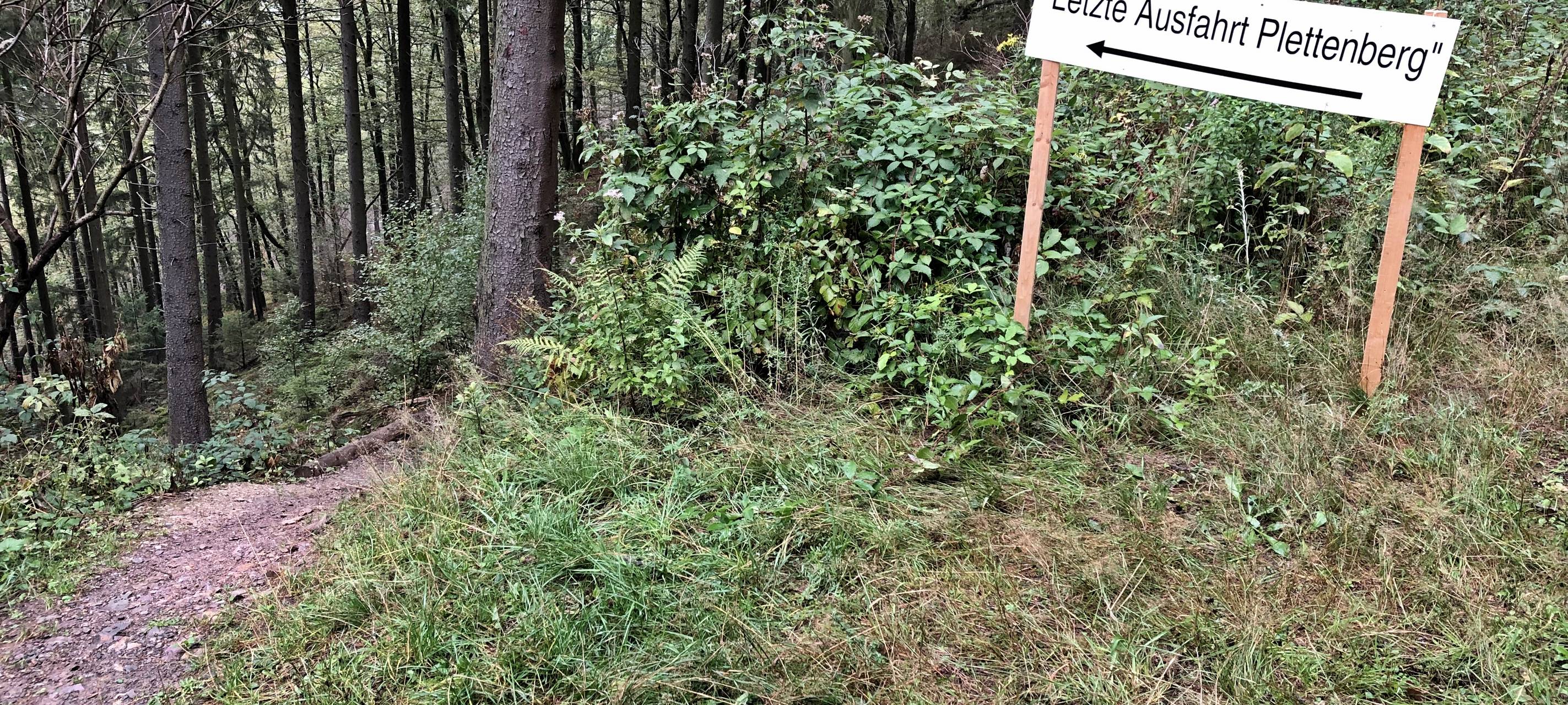 Bäume räumen für den Marathon
