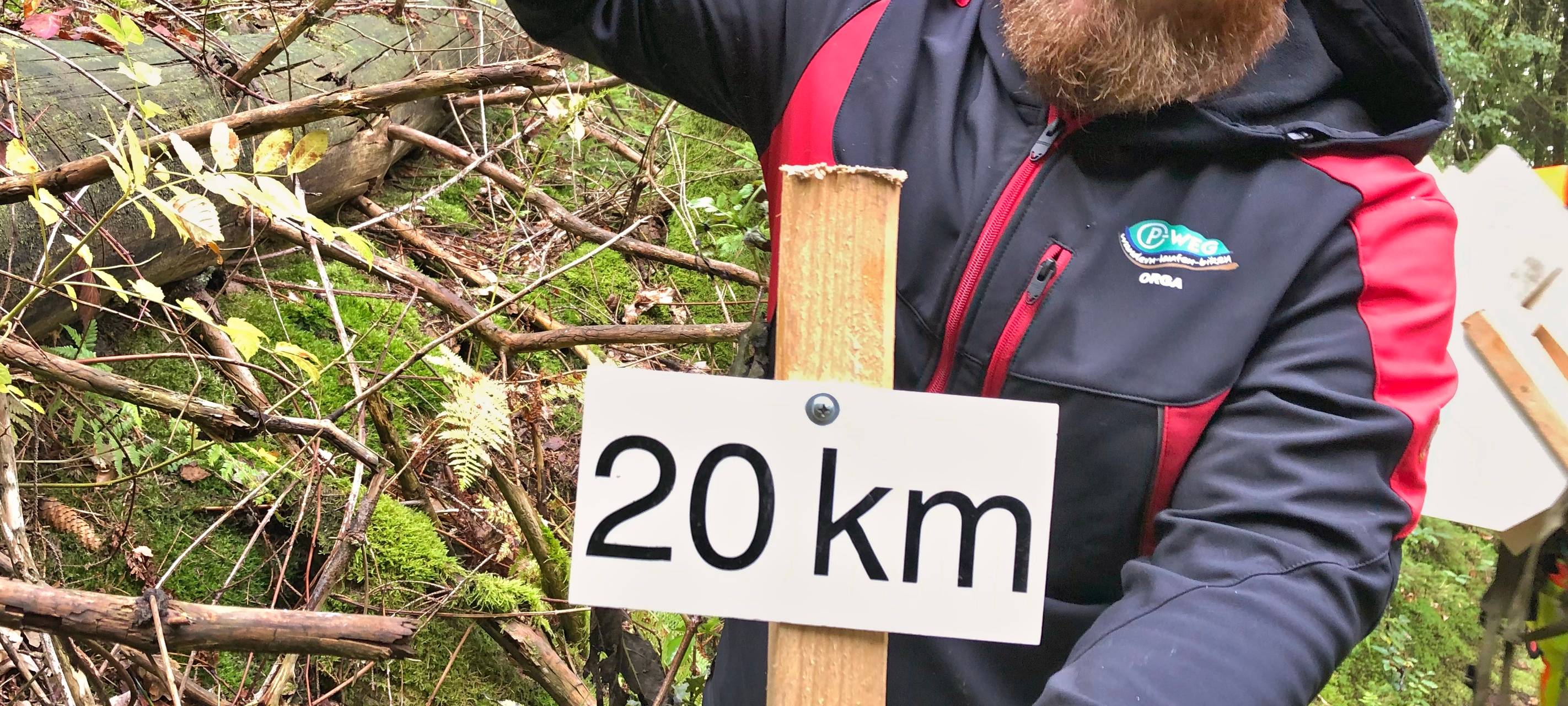 Bäume räumen für den Marathon