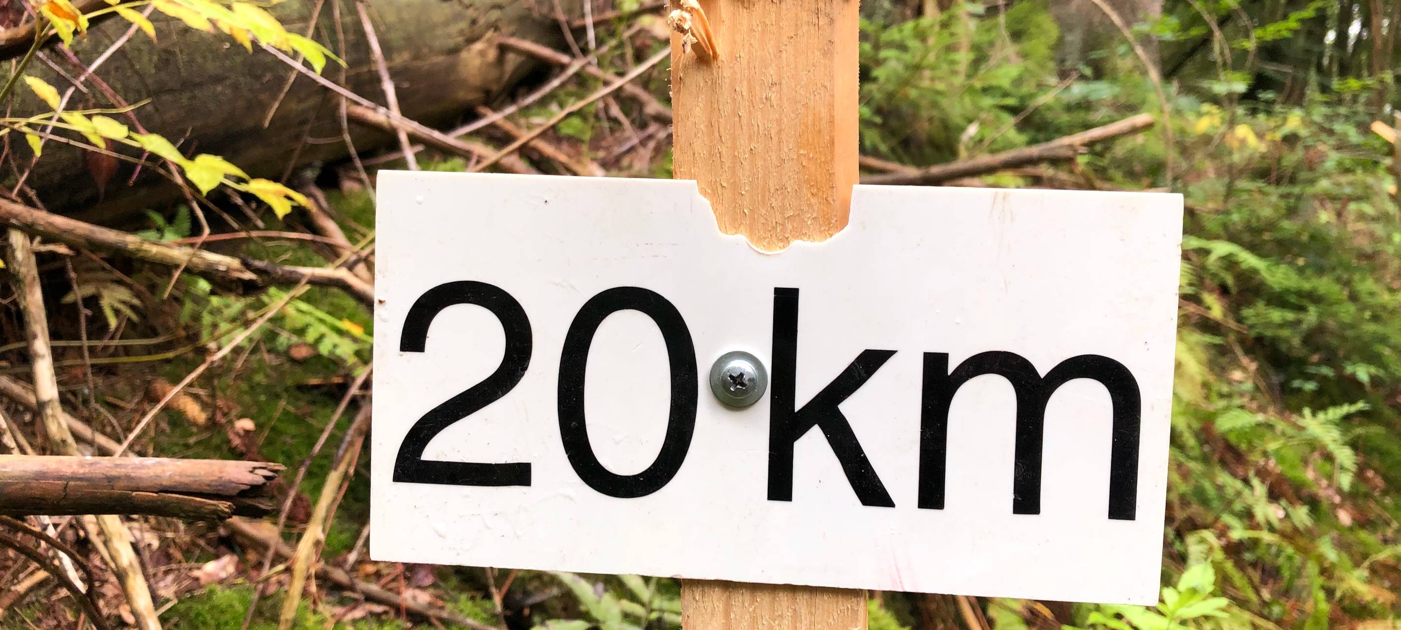 Bäume räumen für den Marathon