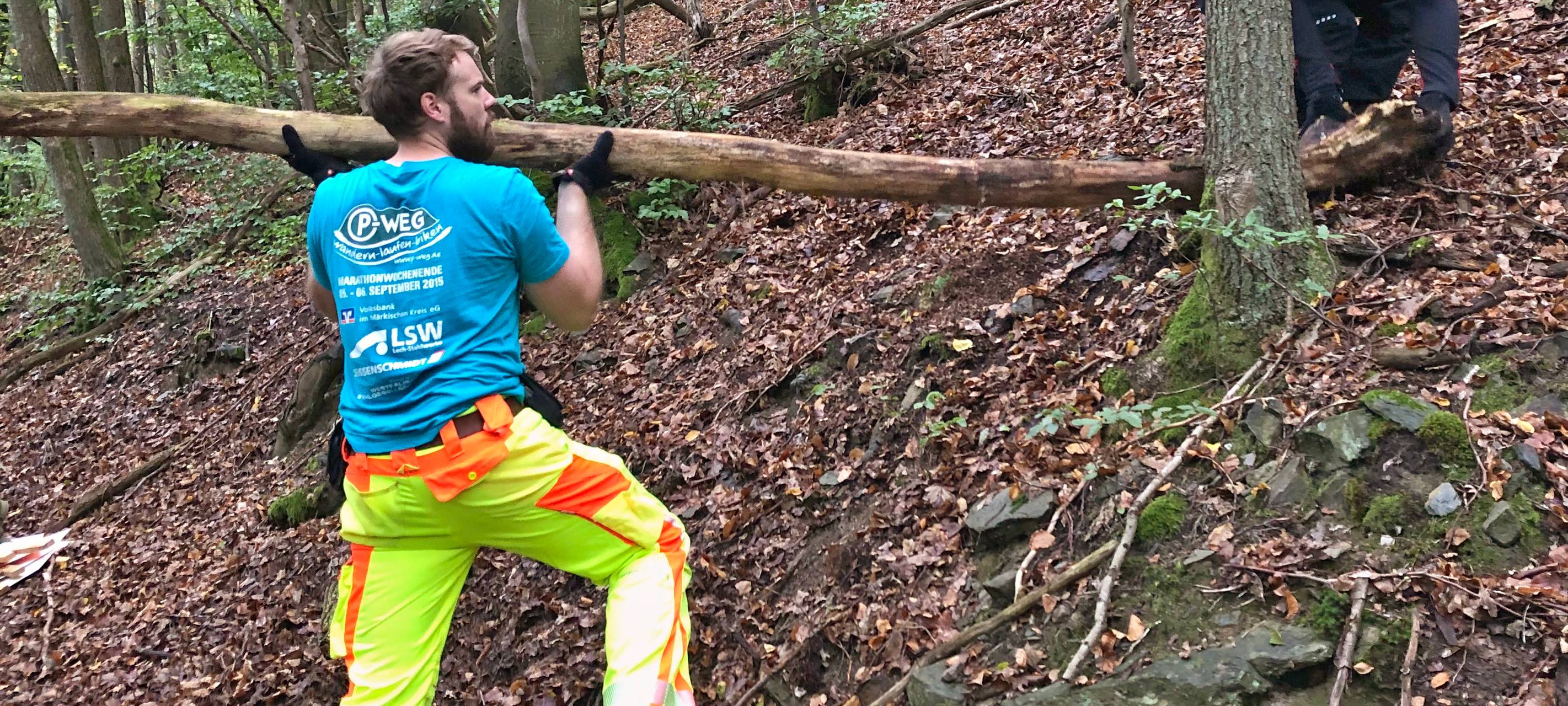Bäume räumen für den Marathon