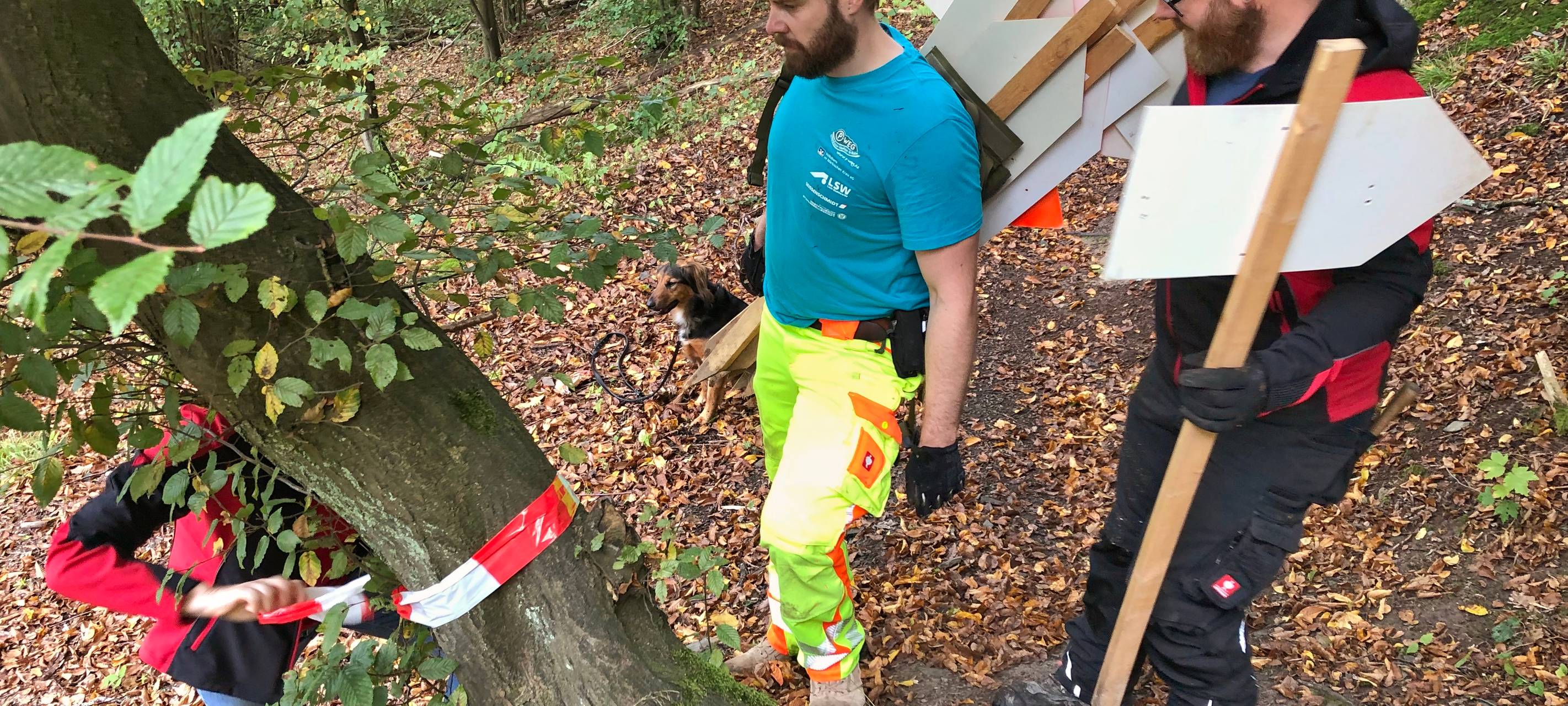 Bäume räumen für den Marathon
