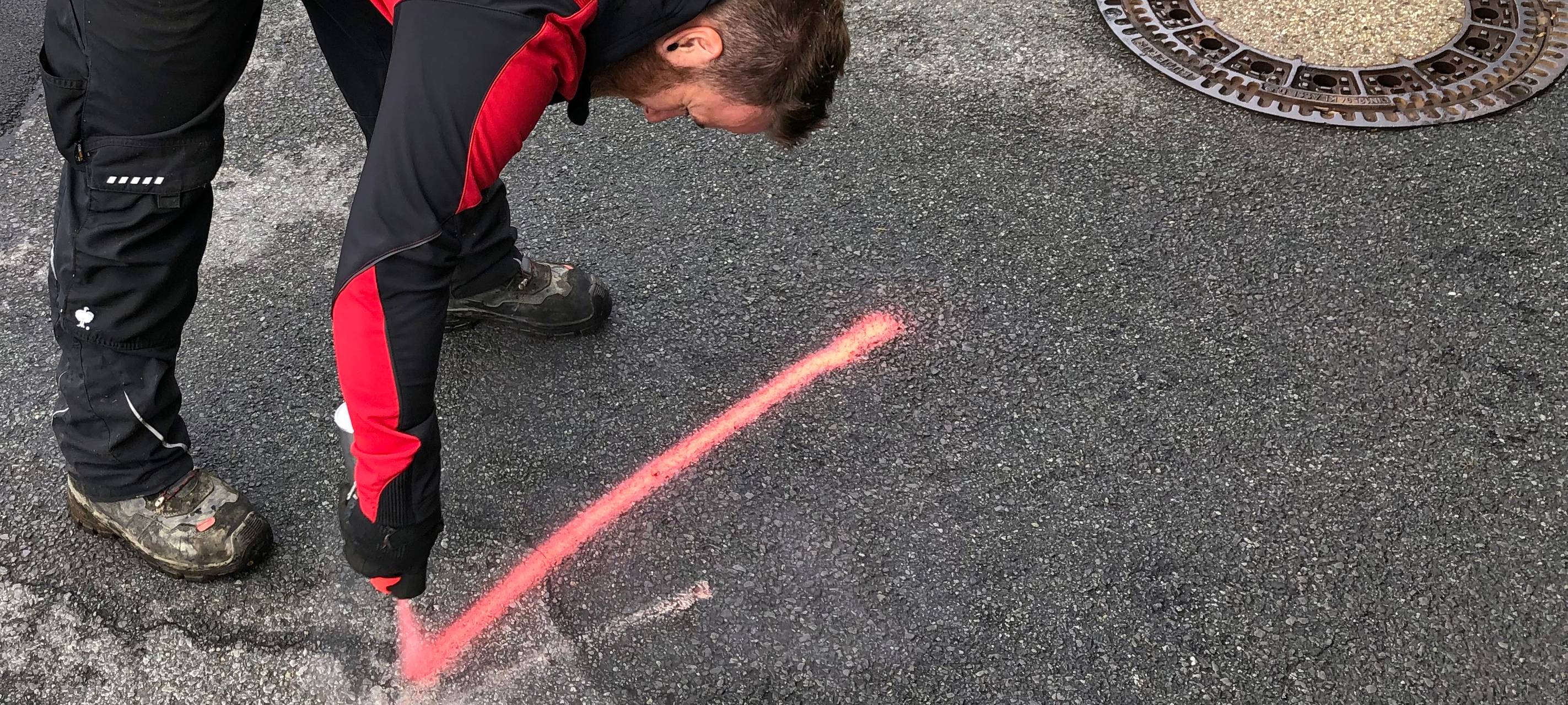 Bäume räumen für den Marathon