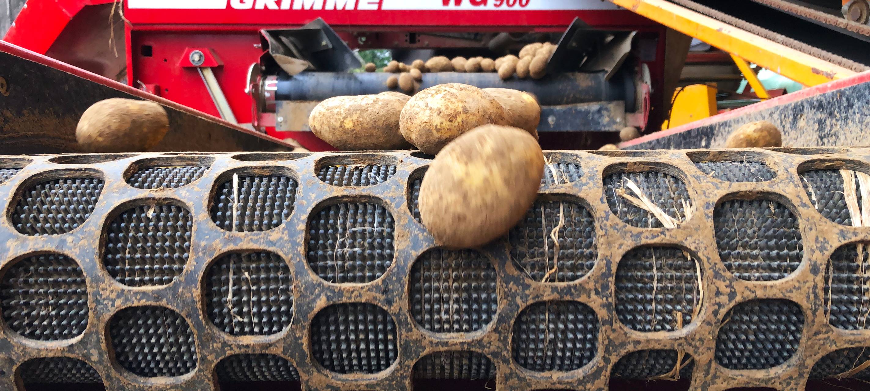 Rein in die Kartoffeln...