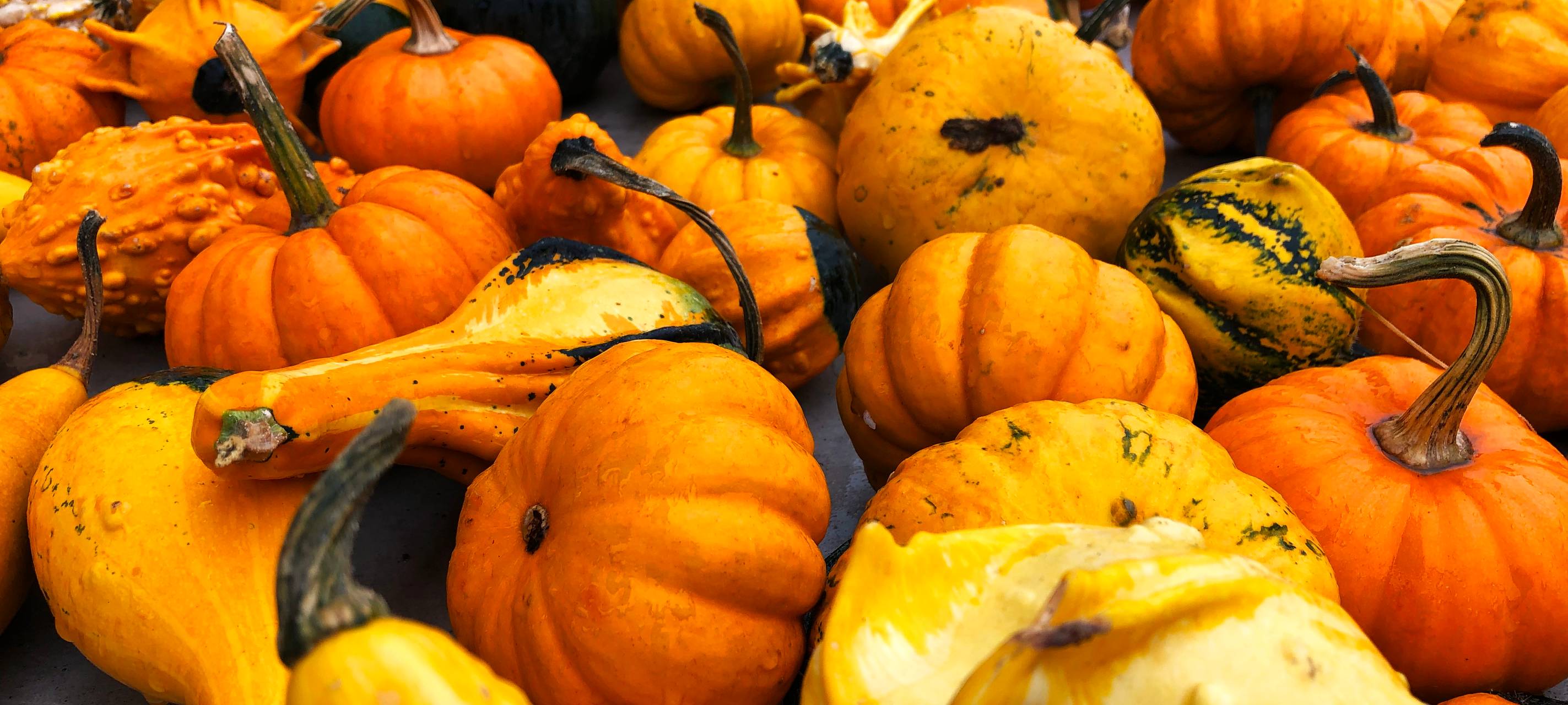 Rein in die Kartoffeln...