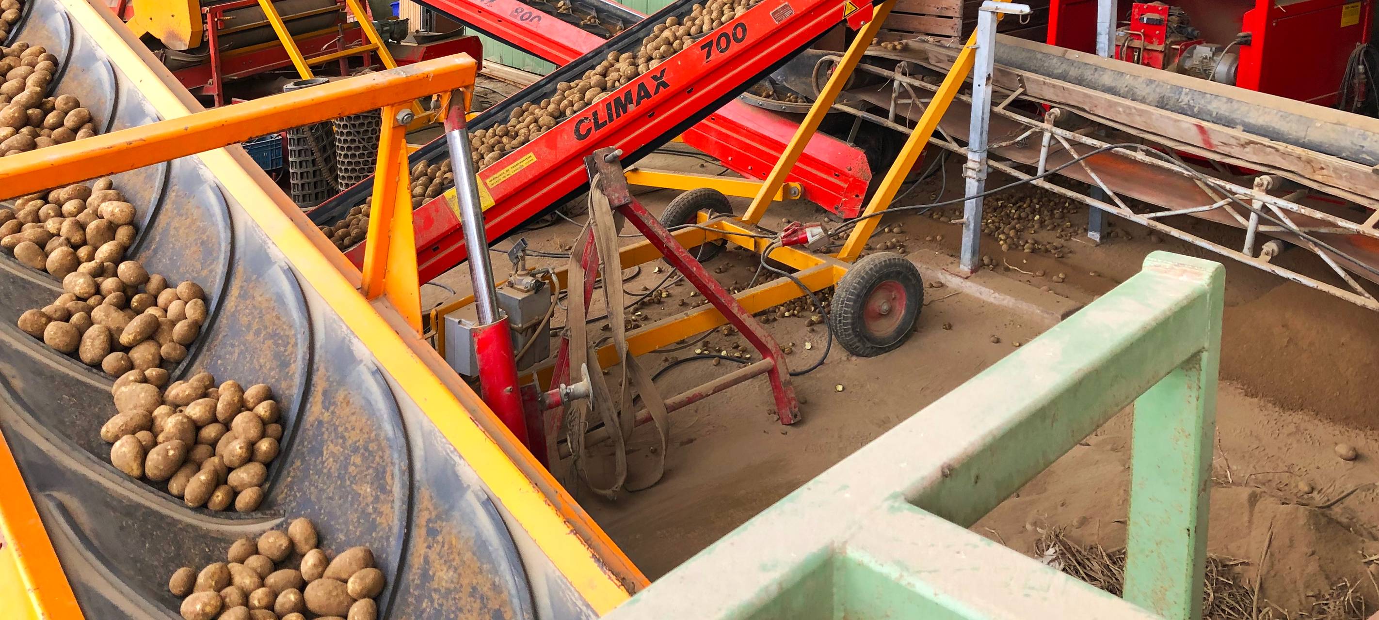 Rein in die Kartoffeln...