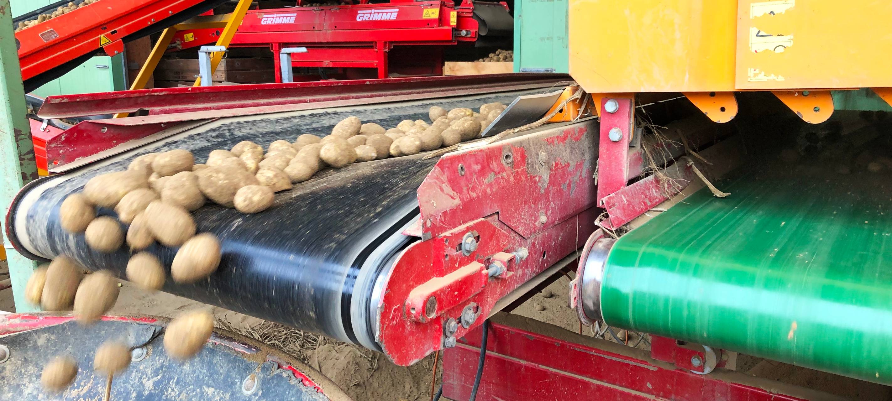 Rein in die Kartoffeln...