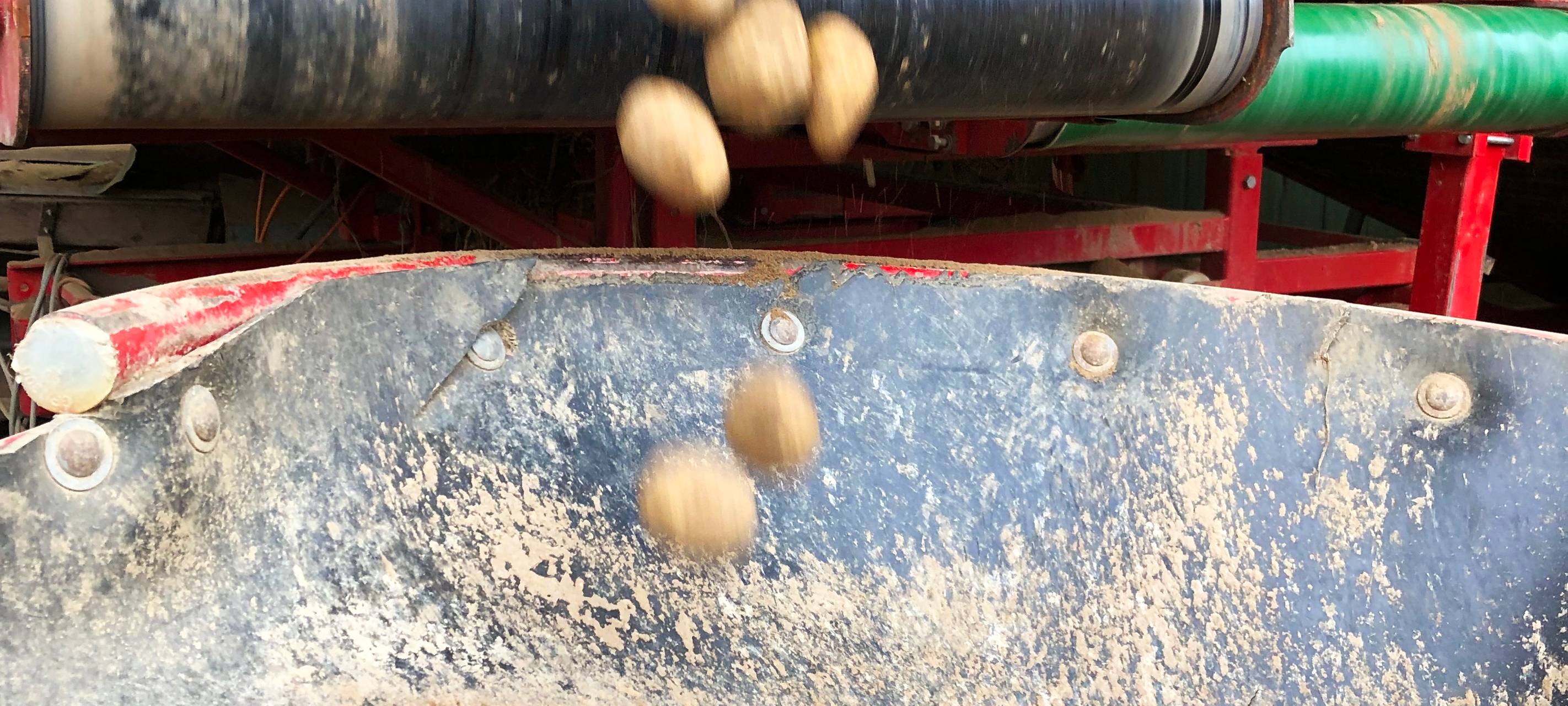 Rein in die Kartoffeln...