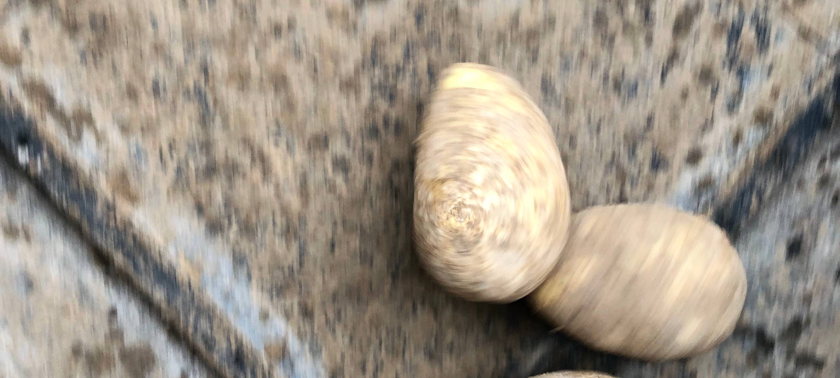 Rein in die Kartoffeln...