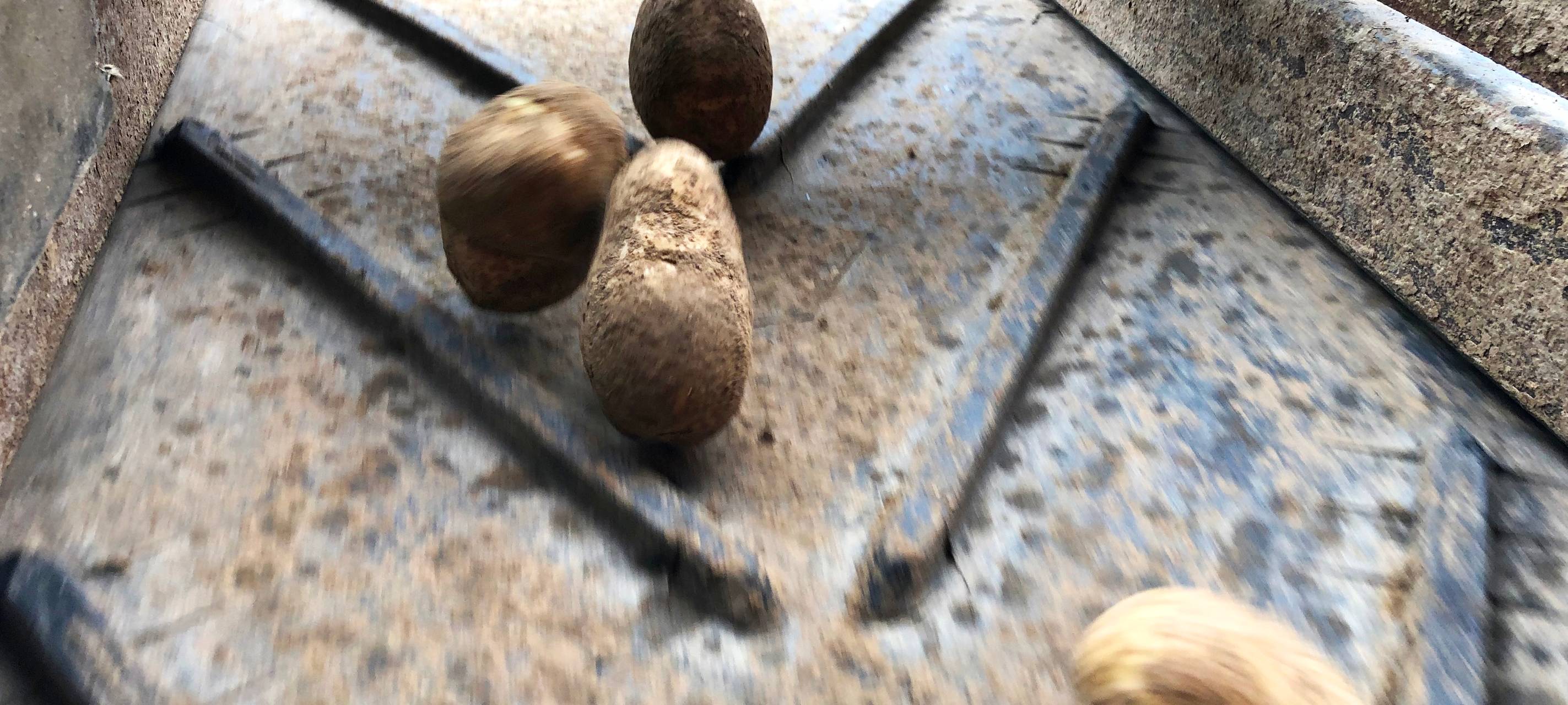 Rein in die Kartoffeln...