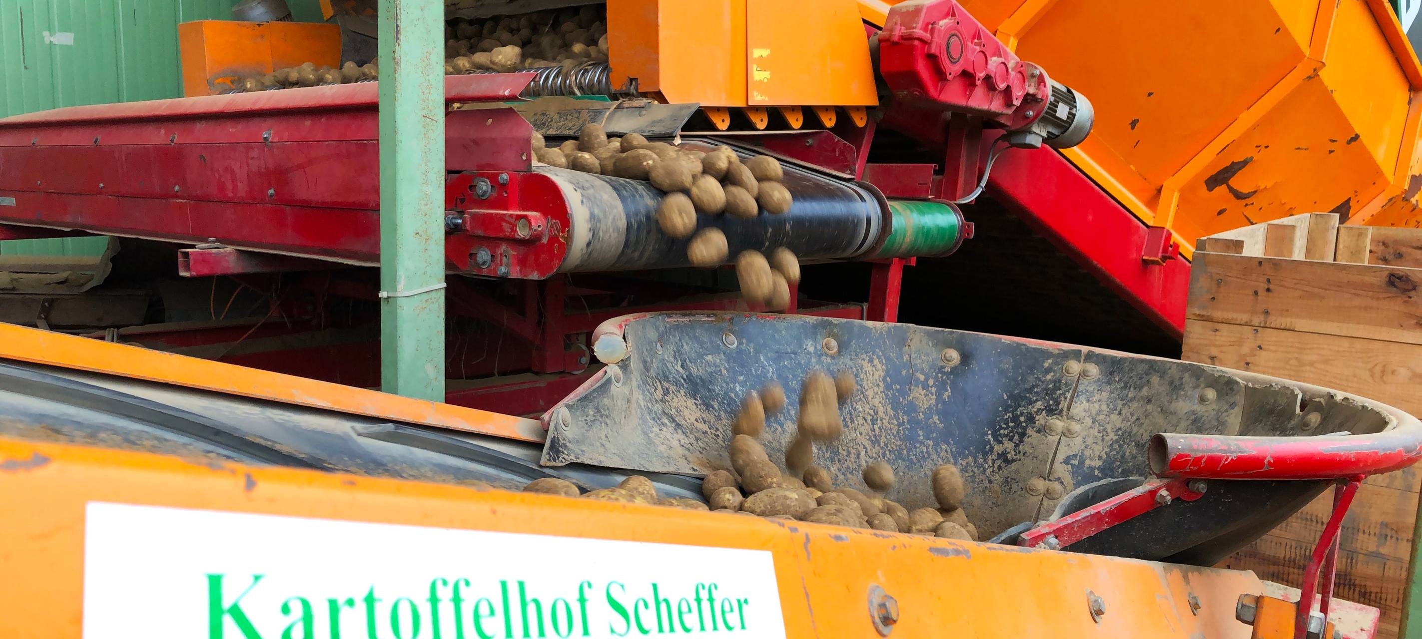 Rein in die Kartoffeln...