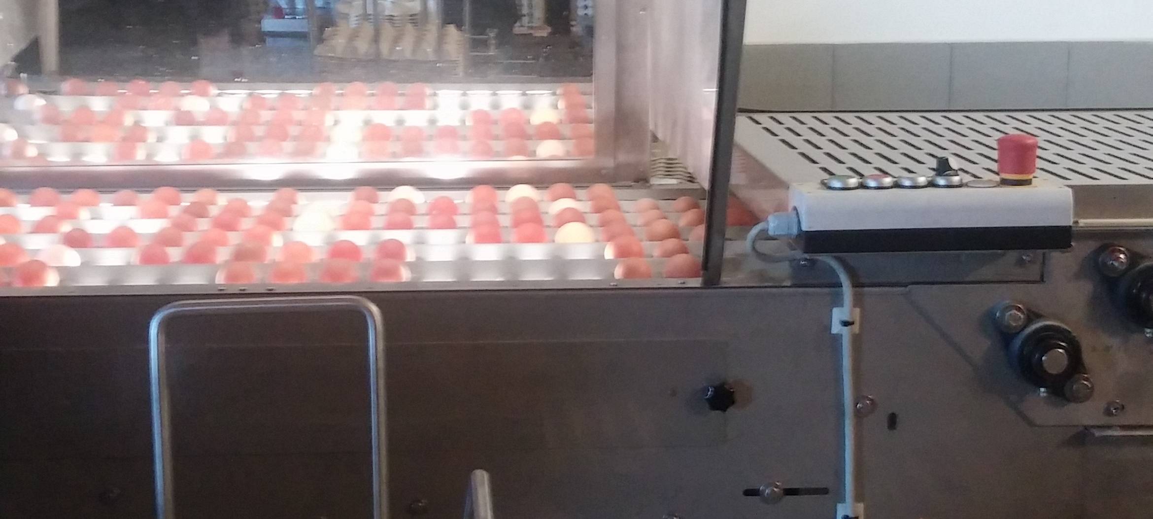 Erntedank-Pressekonferenz auf dem Hof Klaas