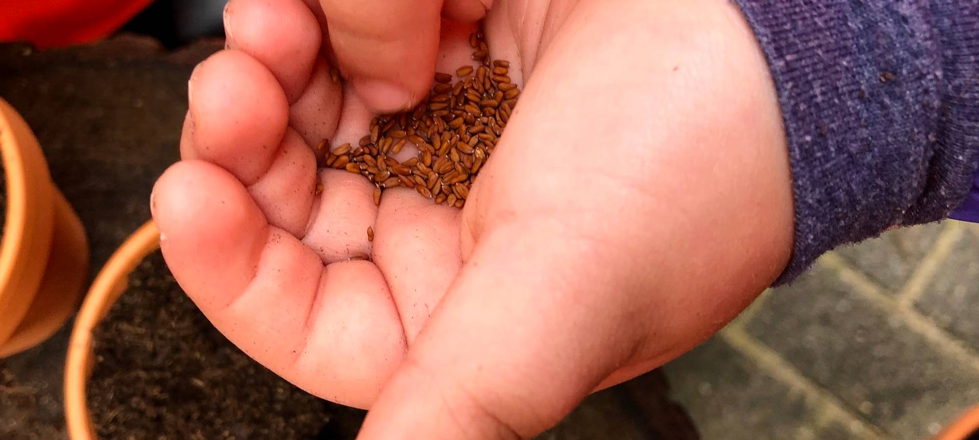 Kleine Landschaftsgärtner in Aktion