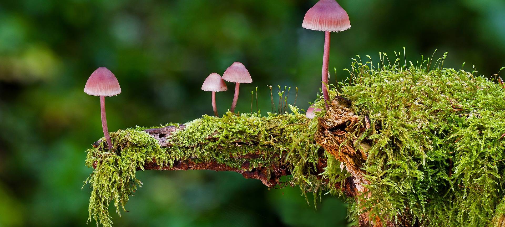 Herbstliche Landpartie am Schloss Wocklum in Balve