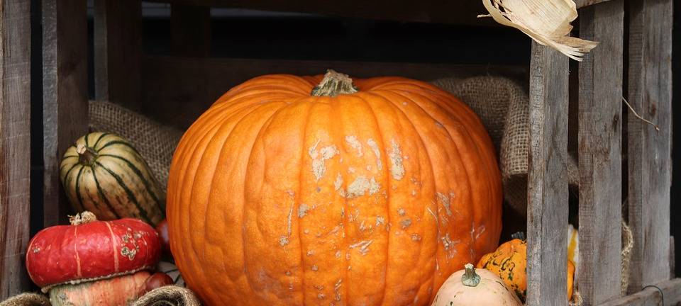 Kürbismarkt in Halver