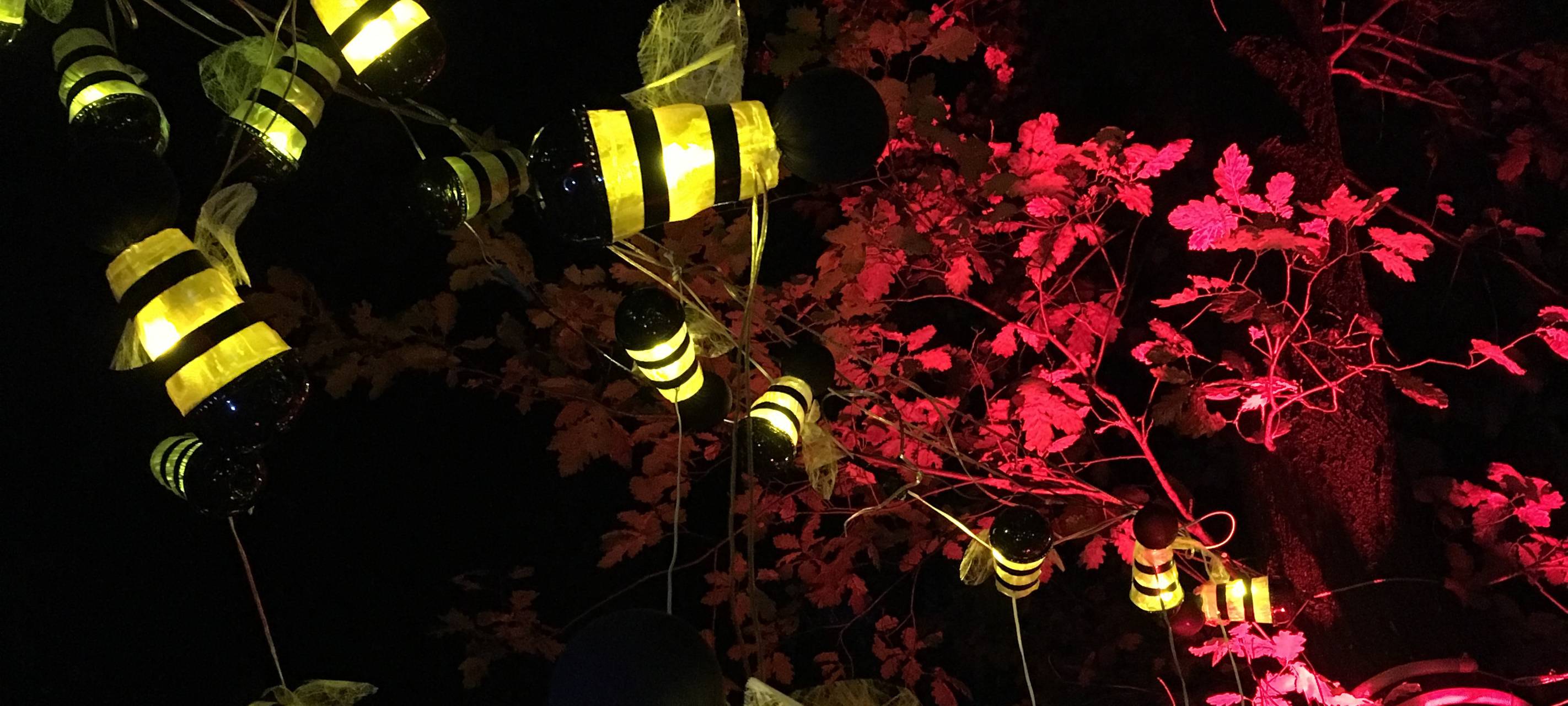 Night Run im Sauerlandpark Hemer