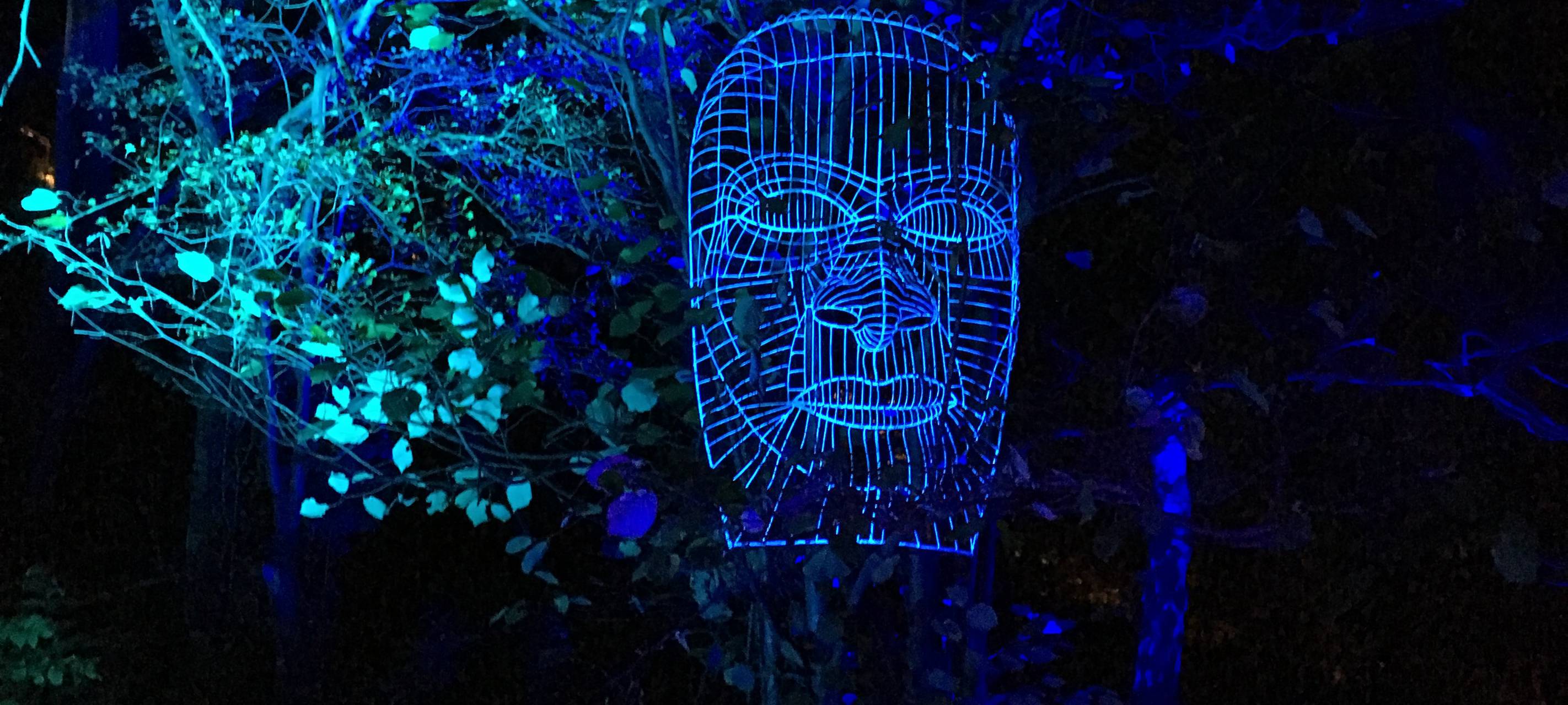 Night Run im Sauerlandpark Hemer