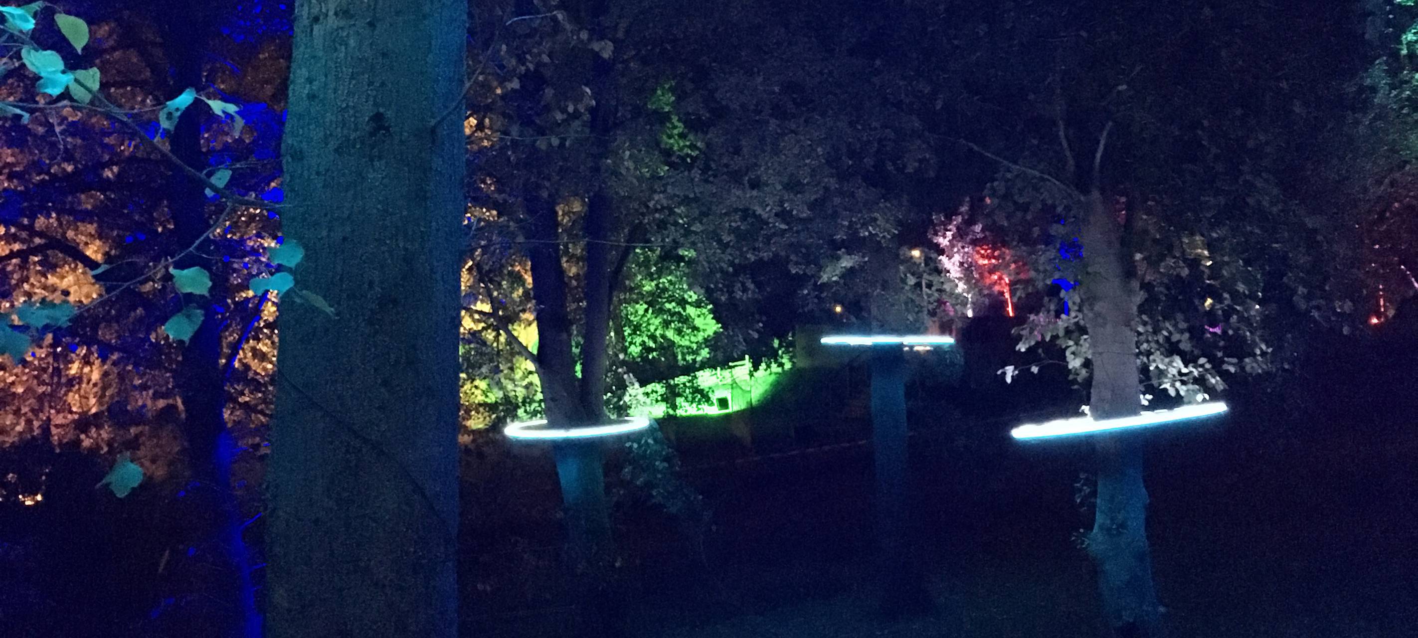 Night Run im Sauerlandpark Hemer