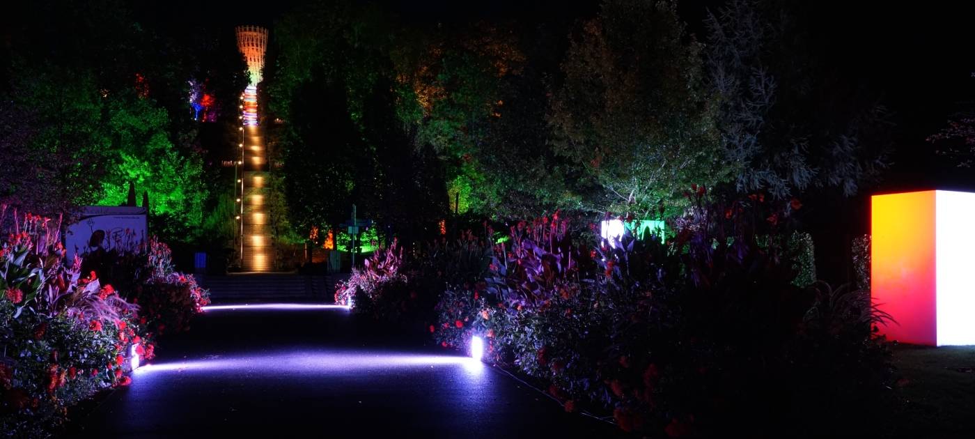 1000 Lichter in der Nacht