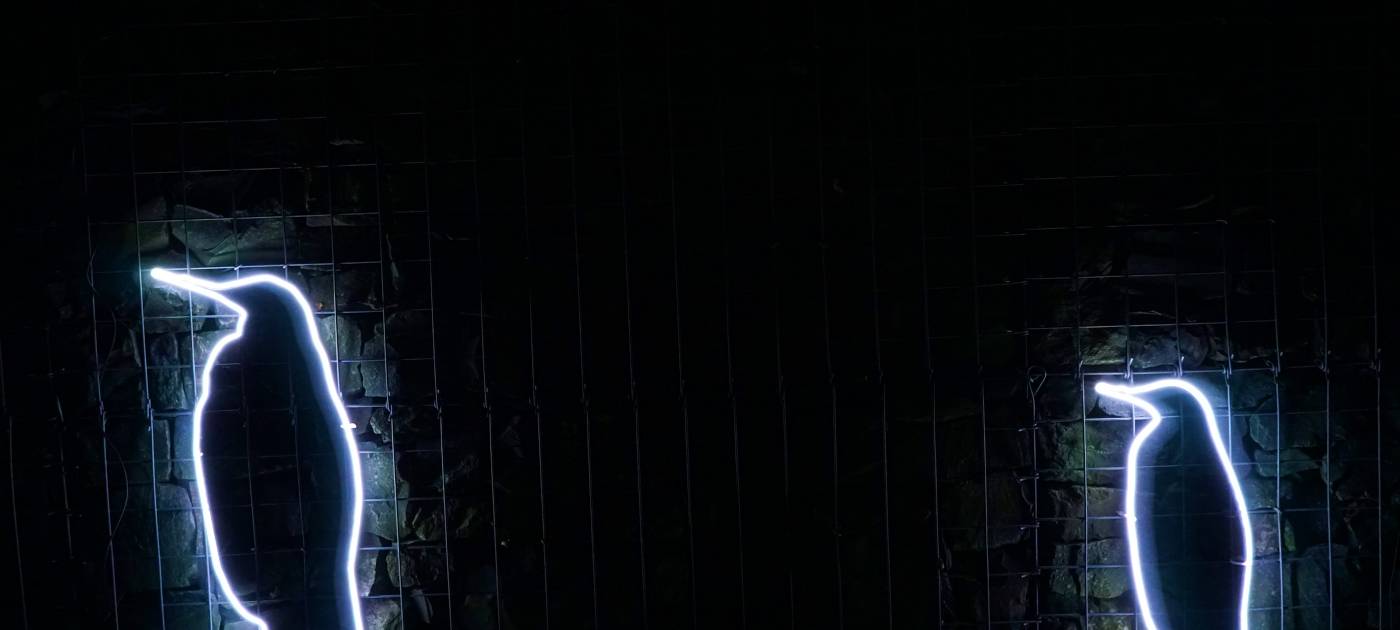 1000 Lichter in der Nacht