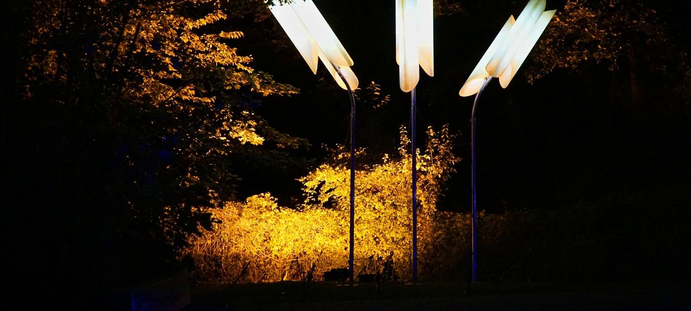 1000 Lichter in der Nacht