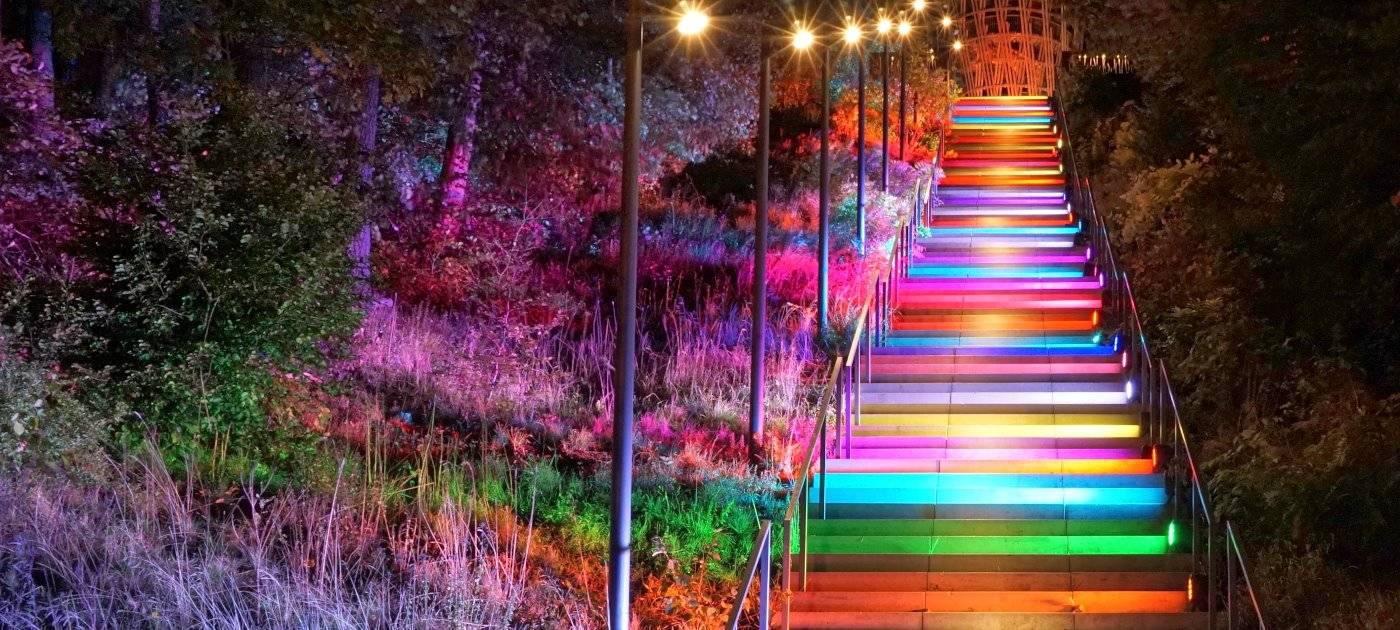 1000 Lichter in der Nacht