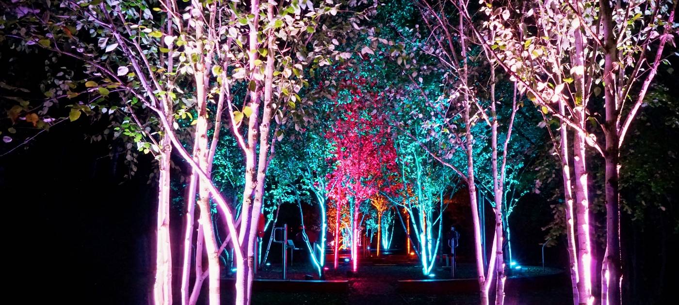 1000 Lichter in der Nacht