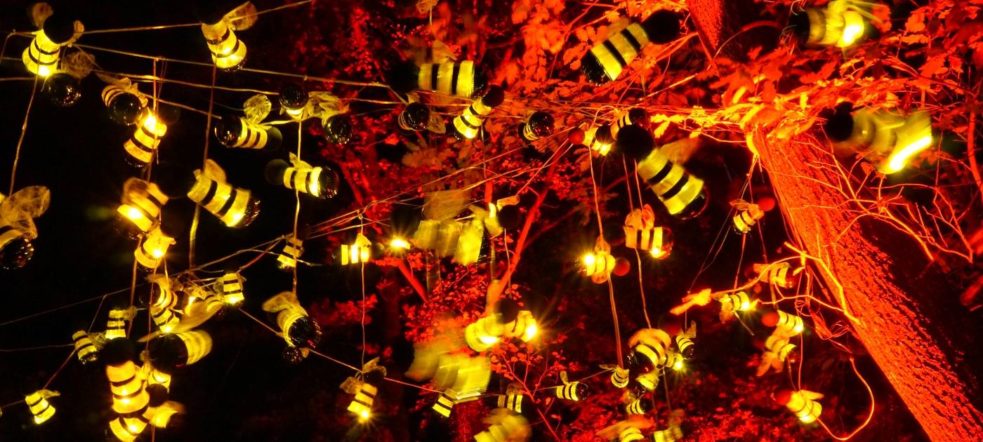 1000 Lichter in der Nacht