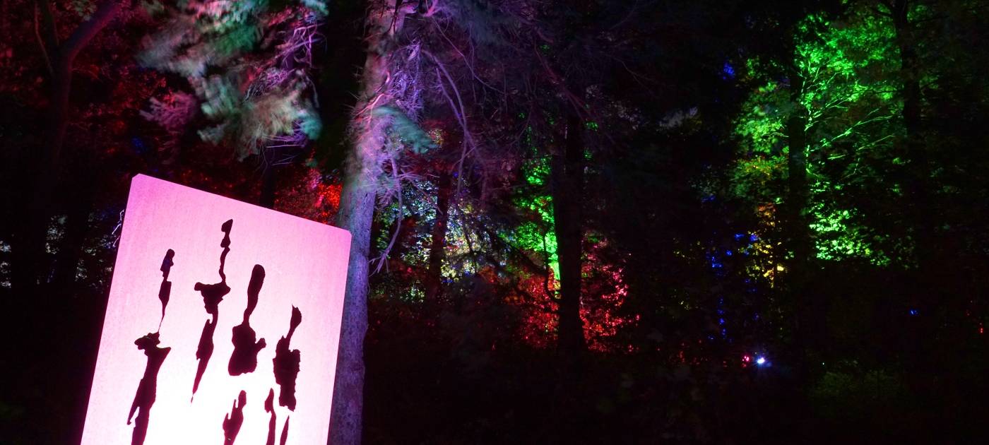 1000 Lichter in der Nacht