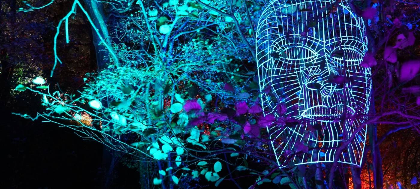 1000 Lichter in der Nacht