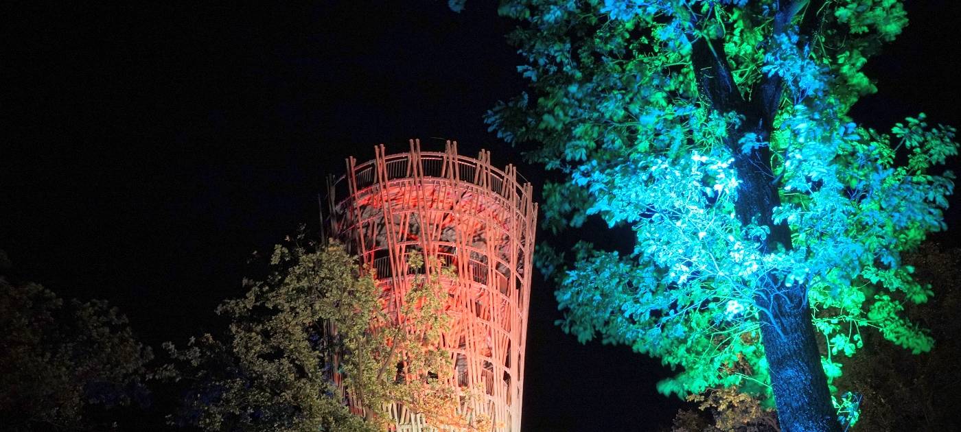 1000 Lichter in der Nacht