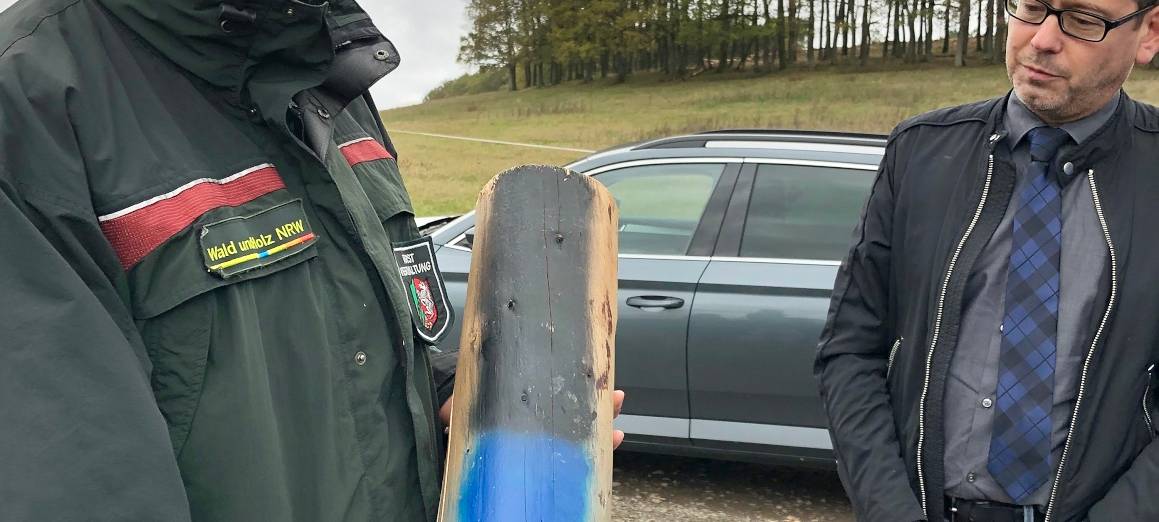 Käfer fressen den Kreis kahl!